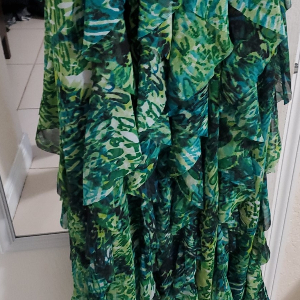 Dress - Picture 2 of 9